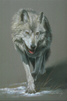 Chorus_howling_with_Koshie_and_EastLake_wolves - 54 seconds